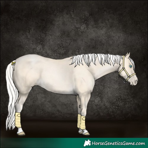Horse Color:Silver Buckskin Pearl 