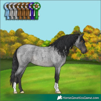 Horse Color:Blue Roan 