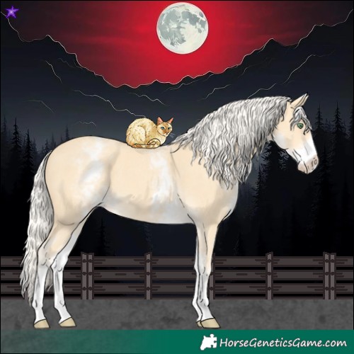 Horse Color:White Spotted Gold Cream Champagne