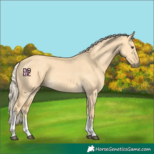 Horse Color:Palomino Dun Tobiano 