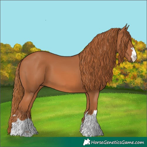 Horse Color:Chestnut 