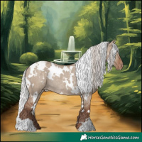 Horse Color:White Spotted Silver Grullo Varnish Rabicano
