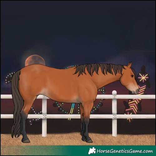 Horse Color:Bay 