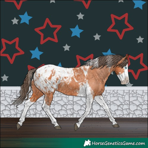 Horse Color:Bay Splash Tobiano Blanket  and Bay Splash Tobiano Blanket 