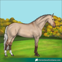 Horse Color:Silver Bay Dun 