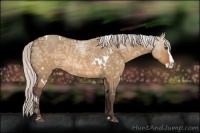 Horse Color:White Spotted Silver Brown Ice Dun Sabino Splash