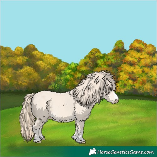 Horse Color:Perlino 