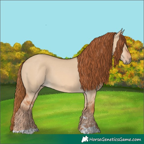 Horse Color:Red Dun 