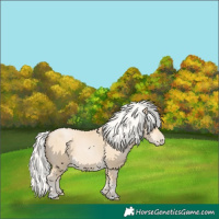 Horse Color:Silver Buckskin Pearl 