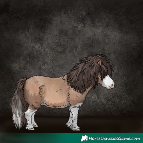 Horse Color:Amber Champagne Splash