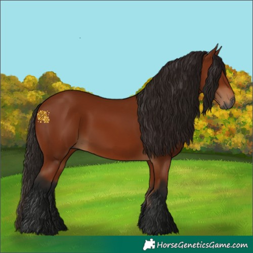 Horse Color:Gray Bay 