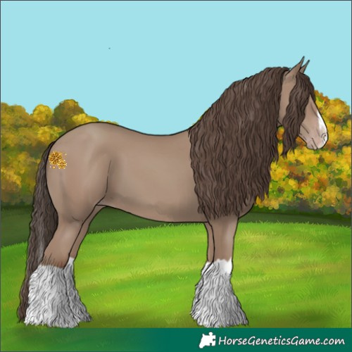 Horse Color:Classic Champagne Splash 