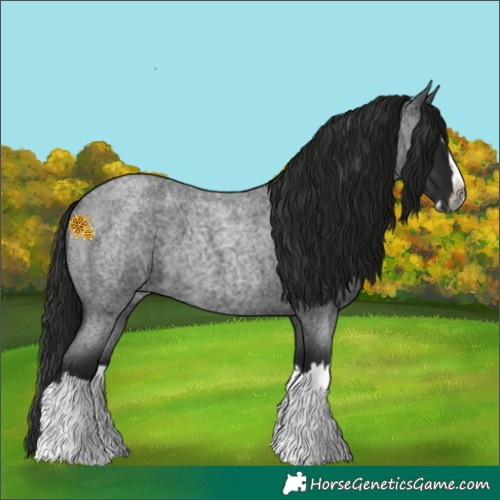 Horse Color:Gray Blue Roan Splash 