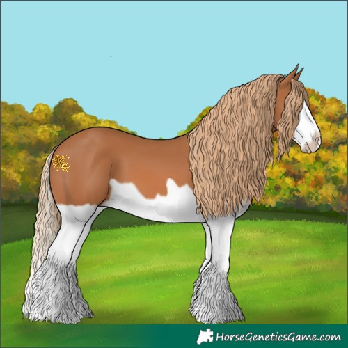 Horse Color:Chestnut Splash Frame 