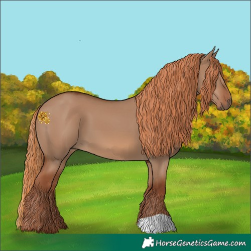 Horse Color:Red Dun 