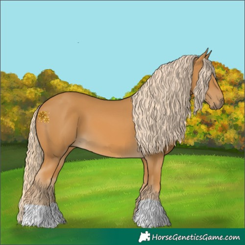 Horse Color:Palomino