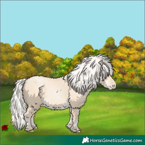 Horse Color:Silver Buckskin Pearl Dun 