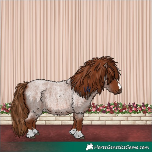 Horse Color:Red Roan 