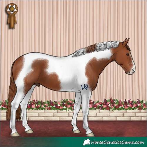 Horse Color:Chestnut Tobiano 