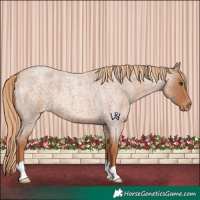 Horse Color:Red Roan Varnish