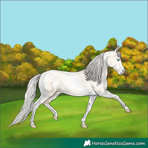 Horse Color:Silver Sable Cream Champagne Pearl Dun Splash Tobiano