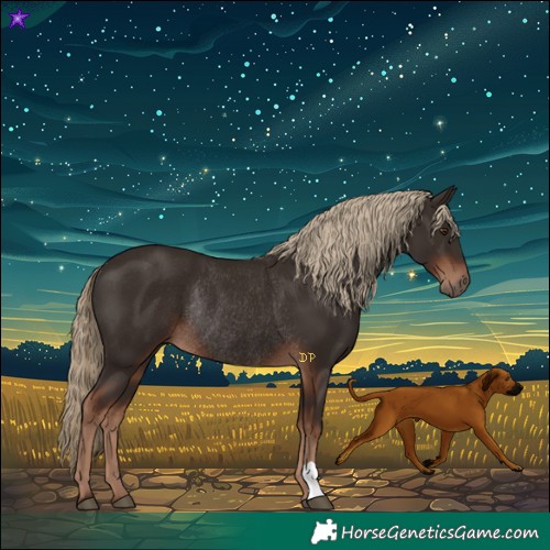 Horse Color:Liver Chestnut Rabicano