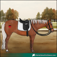 Horse Color:Chocolate Silver Brown