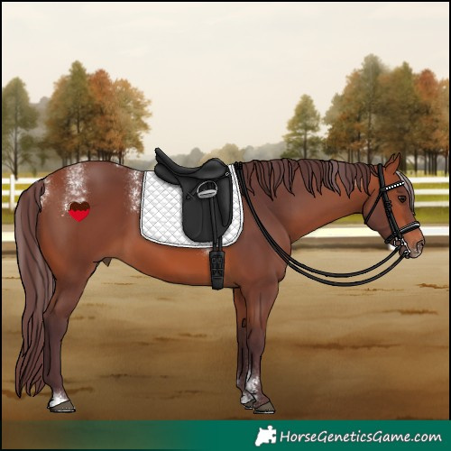Horse Color:Powder White Chocolate Bay