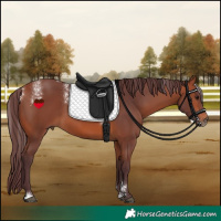 Horse Color:Powder White Chocolate Bay