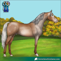 Horse Color:Gray Silver Amber Champagne