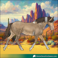 Horse Color:Amber Cream Champagne Tobiano