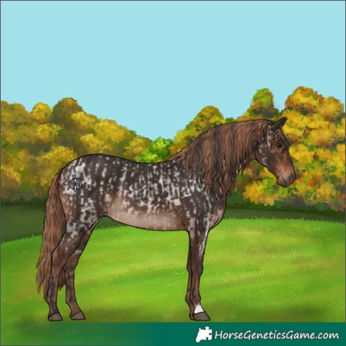 Horse Color:Bay Roan and Liver Chestnut