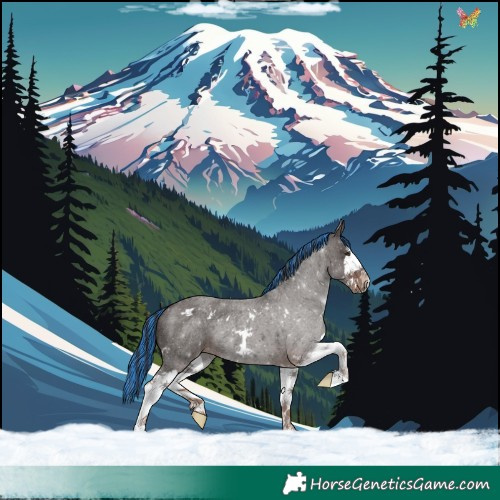 Horse Color:Painted White Spotted Liver Red Roan Splash