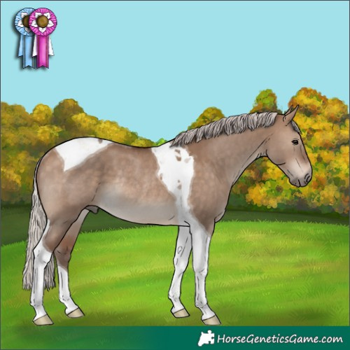 Horse Color:Silver Bay Dun Tobiano Rabicano 