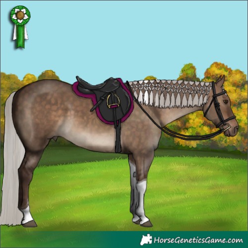 Horse Color:Silver Brown Dun Tobiano