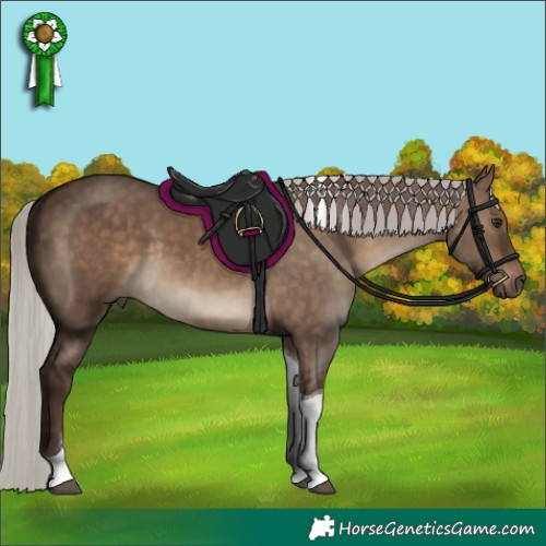 Horse Color:Silver Brown Dun Tobiano