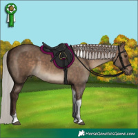 Horse Color:Silver Brown Dun Tobiano