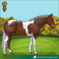 Horse Color:Silver Brown Tobiano