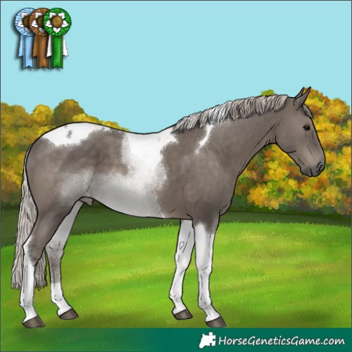 Horse Color:Silver Black Tobiano 