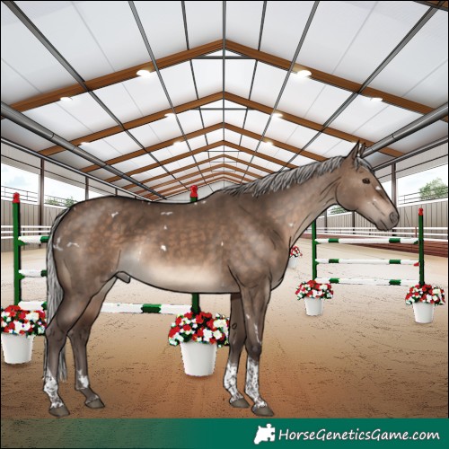 Horse Color:White Spotted Silver Brown Dun Tobiano Rabicano