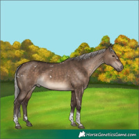 Horse Color:White Spotted Silver Brown Dun Tobiano Rabicano