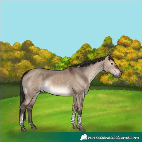 Horse Color:Brown Dun Tobiano Rabicano 