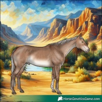 Horse Color:Silver Brown Dun Tobiano Rabicano 