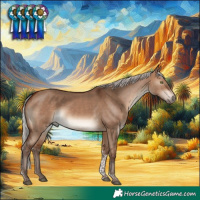 Horse Color:Silver Brown Dun Tobiano Rabicano 