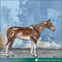 Horse Color:White Spotted Silver Brown Tobiano Rabicano 