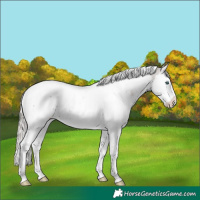 Horse Color:White Spotted Silver Black Splash Tobiano Rabicano 