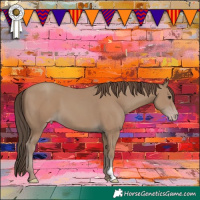 Horse Color:Classic Champagne