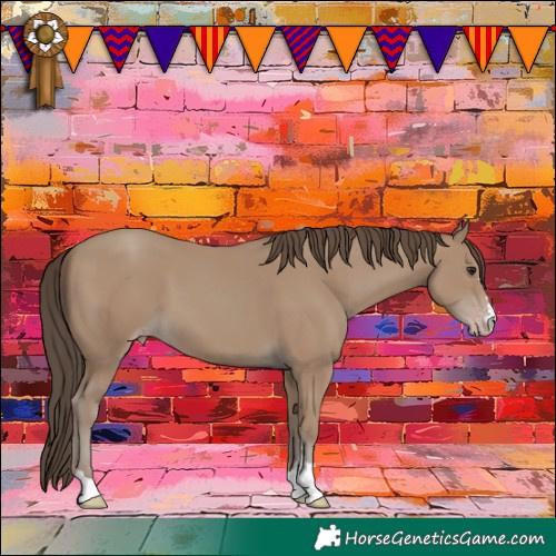 Horse Color:Classic Champagne 