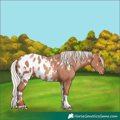 Horse Color:White Spotted Chocolate Silver Sable Champagne Tobiano Skewed LP Spotted