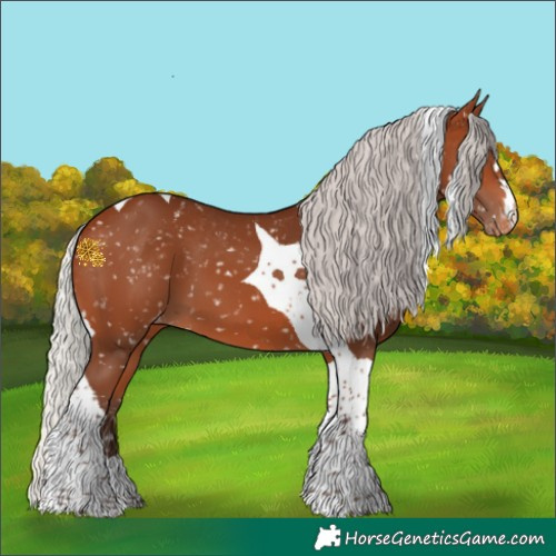 Horse Color:Silver Brown Tobiano Skewed Appaloosa 
